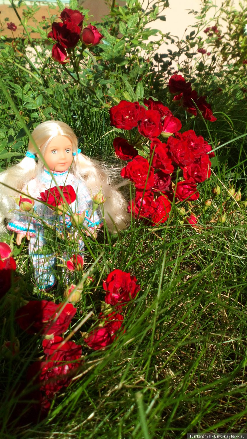 Лана. American girl mini. Погуляем (фото 2)