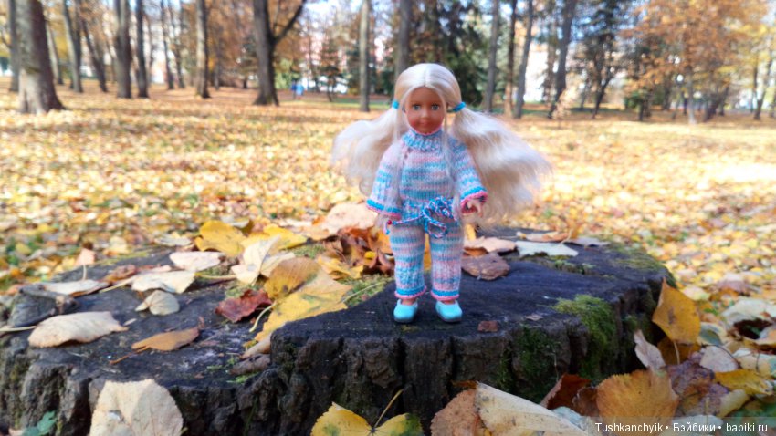 Осень с Ланочкой-миниамериканочкой (фото 10)