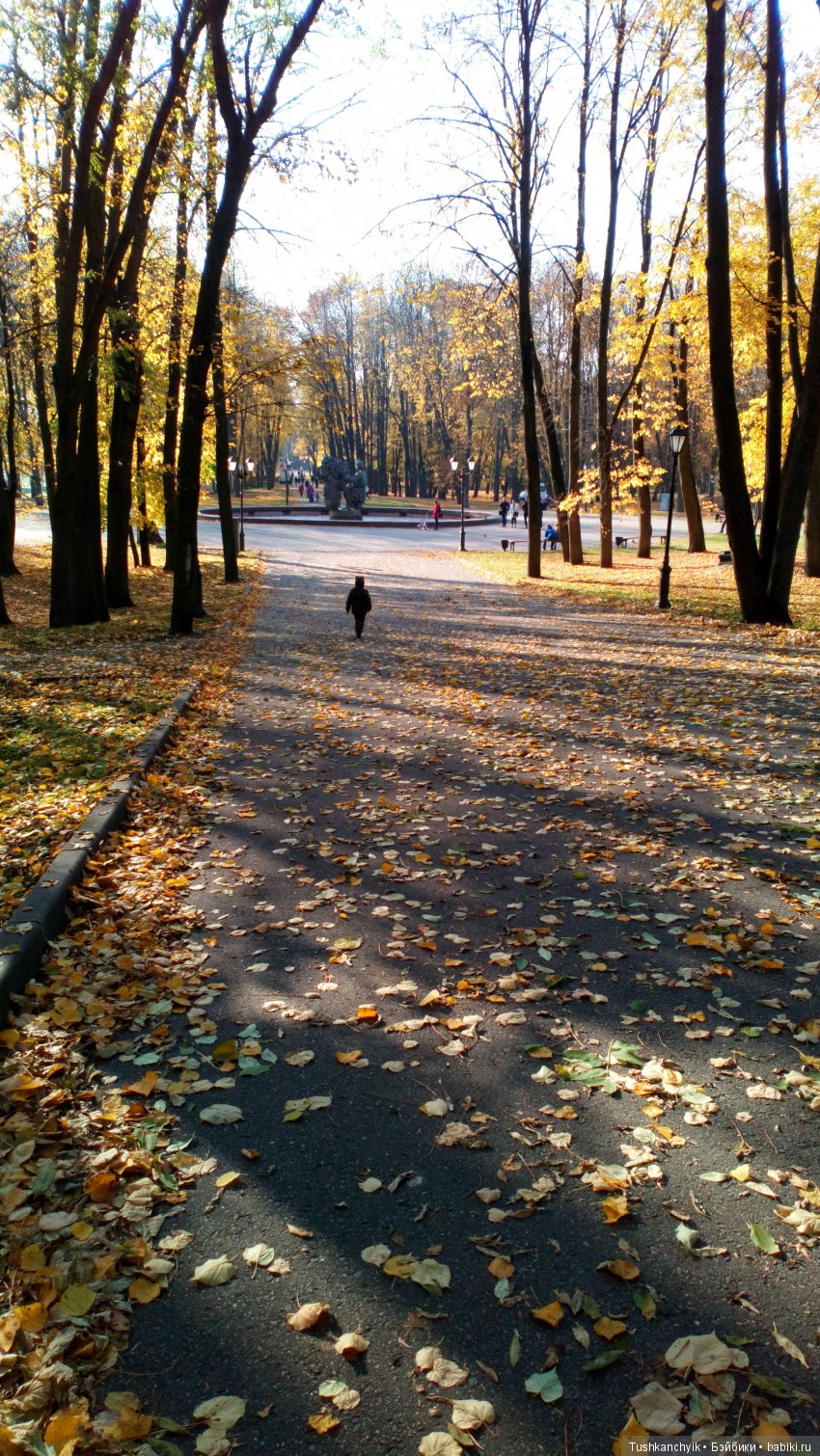 Осень с Ланочкой-миниамериканочкой (фото 9)