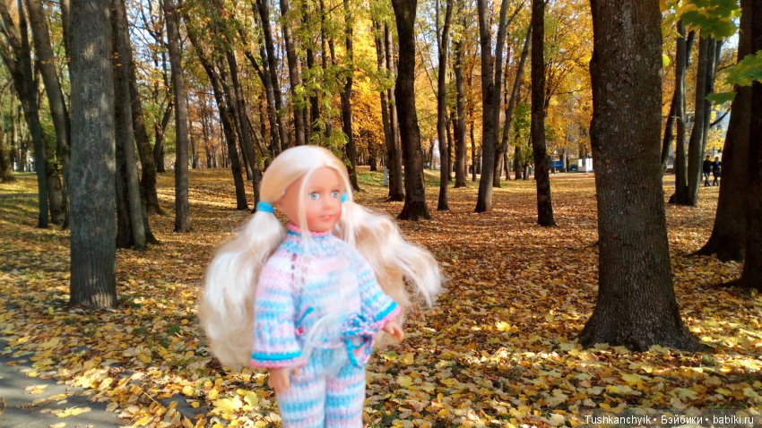 Осень с Ланочкой-миниамериканочкой (фото 8)