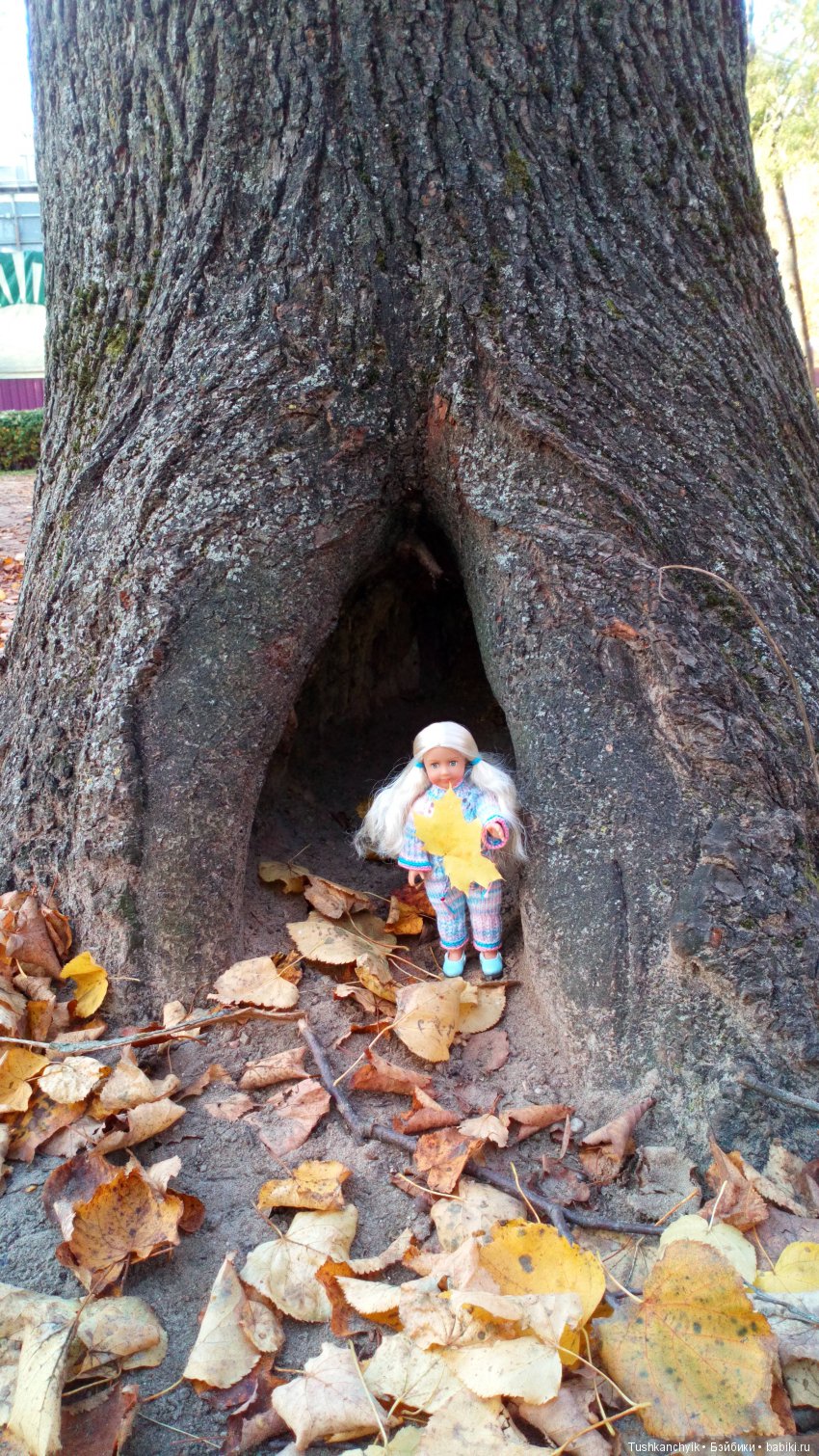 Осень с Ланочкой-миниамериканочкой