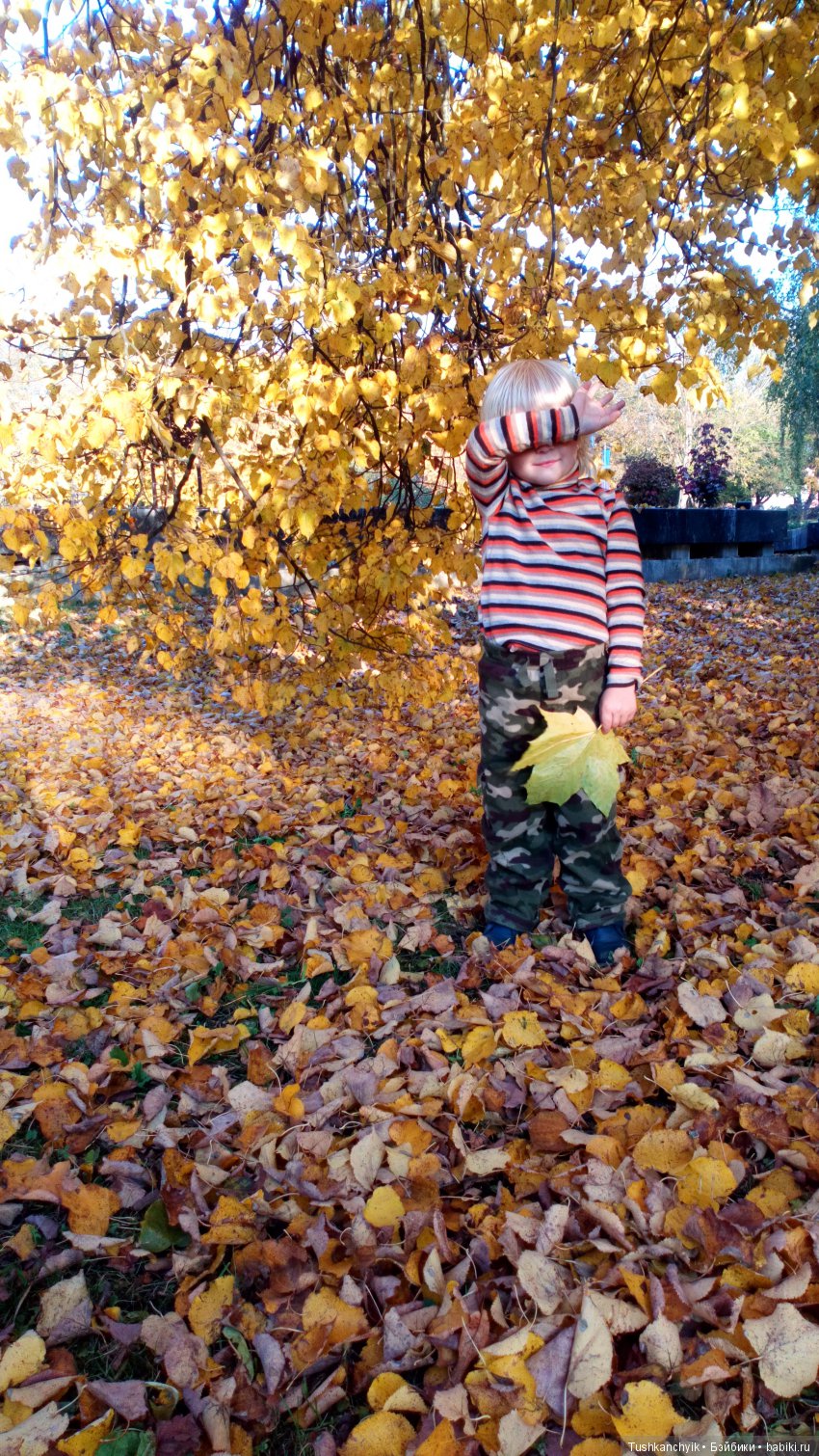 Осень с Ланочкой-миниамериканочкой (фото 2)