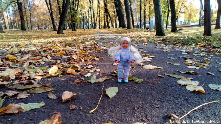 Осень с Ланочкой-миниамериканочкой (фото 6)