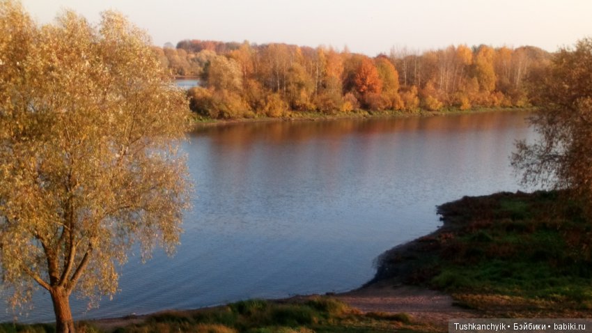 Осень с Ланочкой-миниамериканочкой