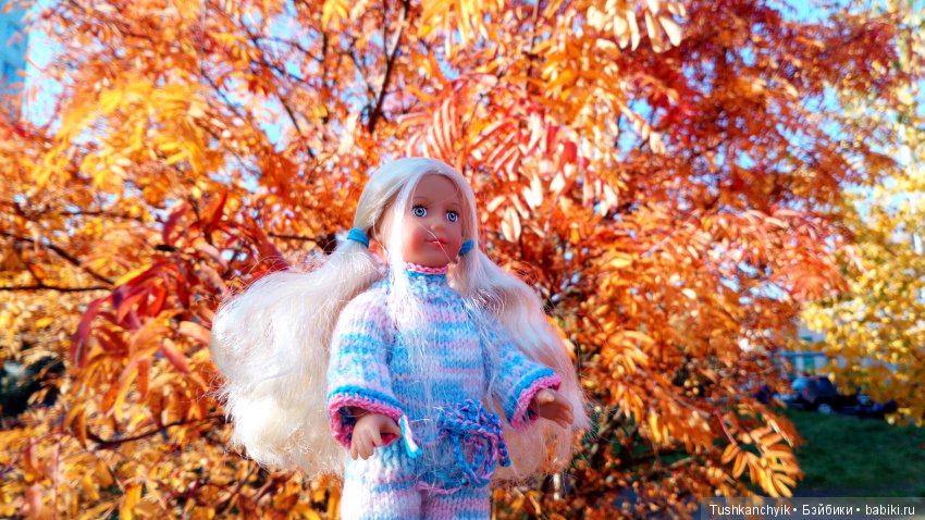 Осень с Ланочкой-миниамериканочкой (фото 3)