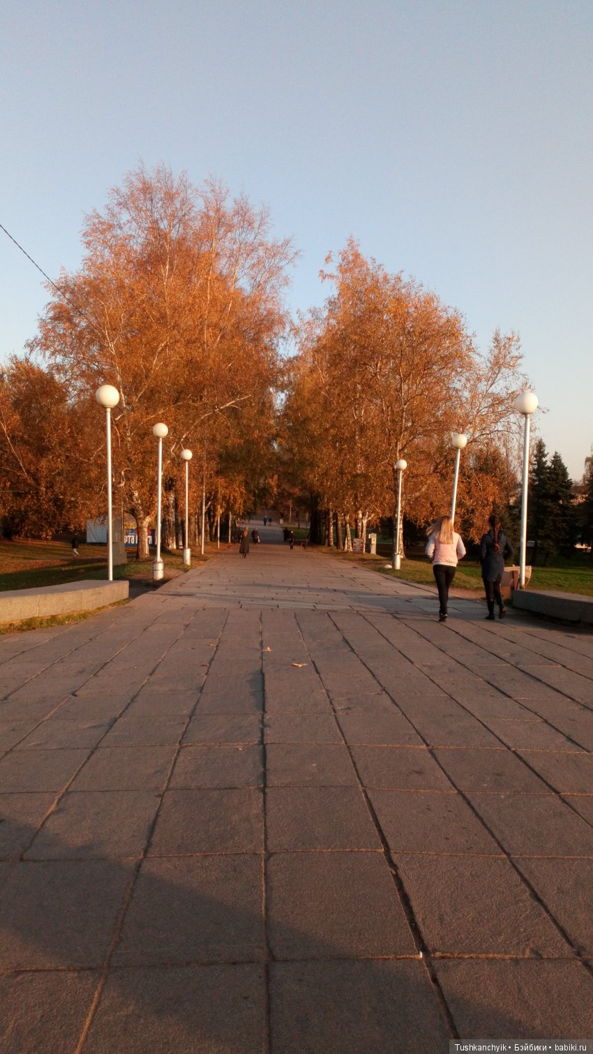 Осень с Ланочкой-миниамериканочкой