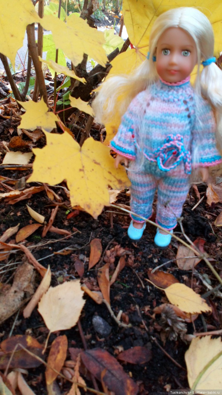 Осень с Ланочкой-миниамериканочкой (фото 5)