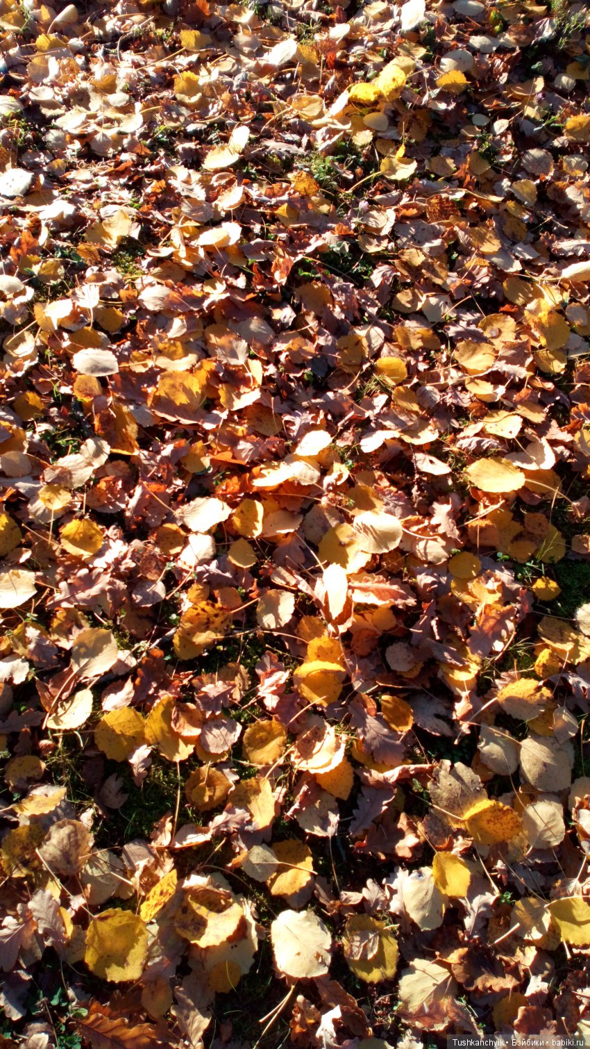 Джойка Kruselings. Осень с феечкой (фото 7)