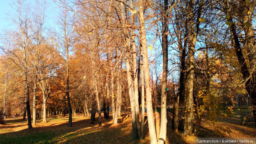 Джойка Kruselings. Осень с феечкой (фото 9)