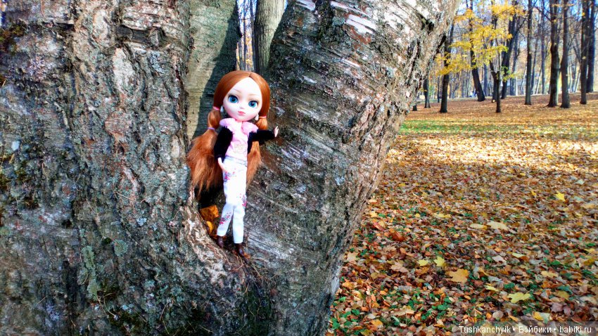 Элиза (Куколка Pullip (пуллип). Краски осени (фото 5)