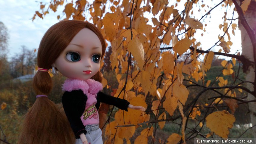 Элиза (Куколка Pullip (пуллип). Краски осени