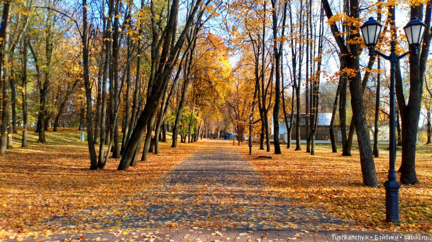 Элиза (Куколка Pullip (пуллип). Краски осени