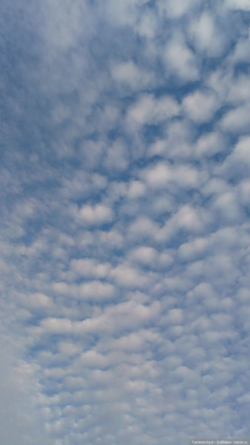 Элиза (Куколка Pullip (пуллип). Краски осени (фото 3)