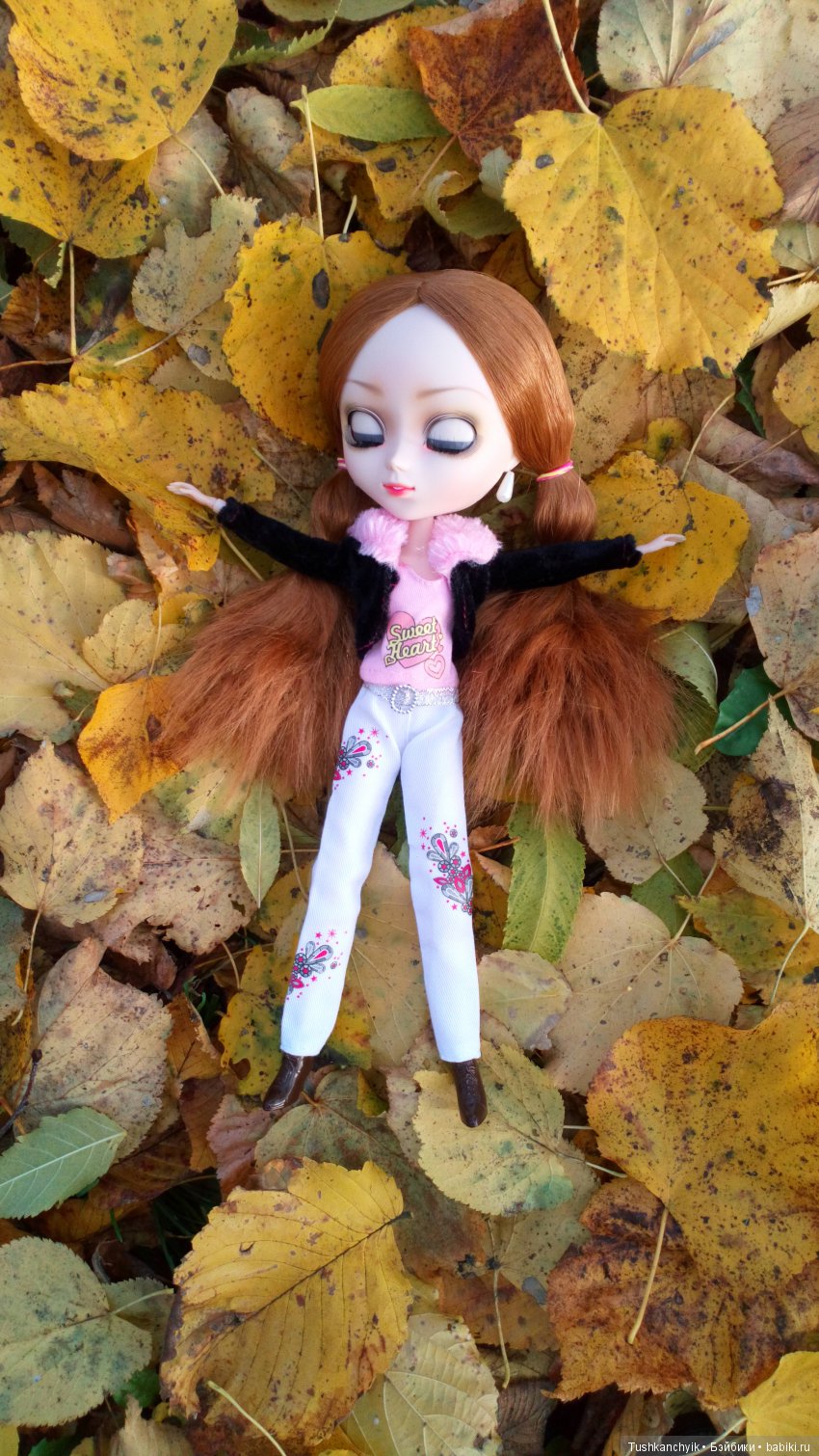 Элиза (Куколка Pullip (пуллип). Краски осени