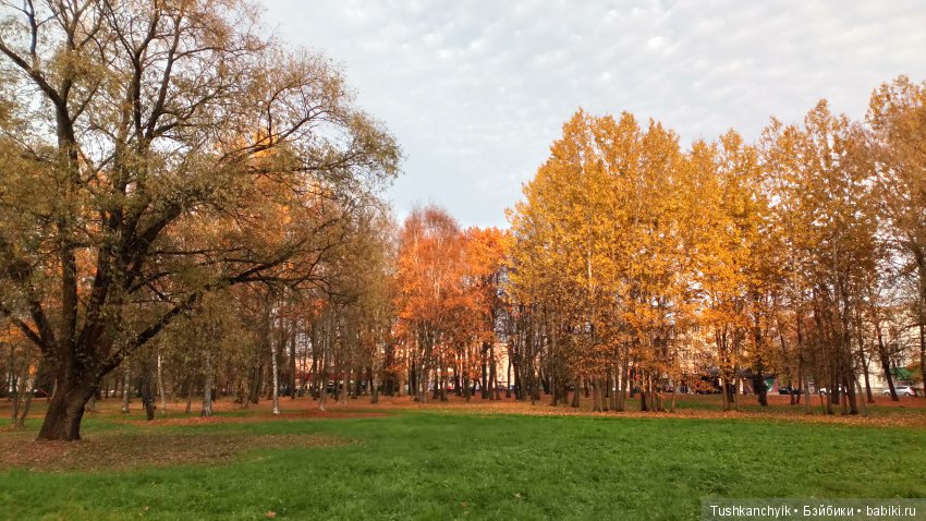 Элиза (Куколка Pullip (пуллип). Краски осени