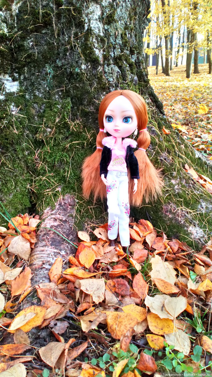 Элиза (Куколка Pullip (пуллип). Краски осени (фото 9)