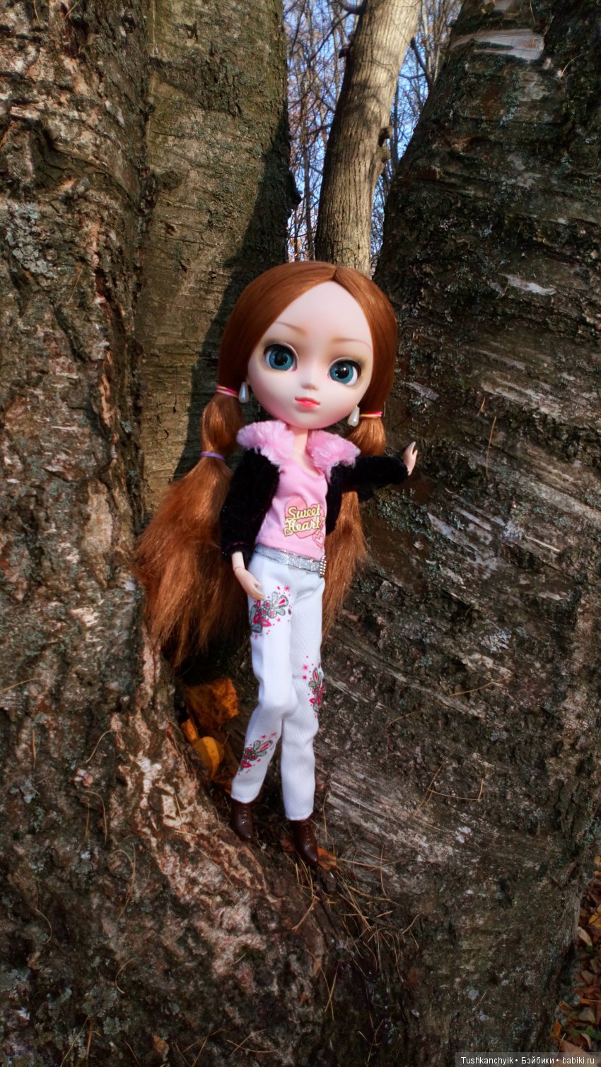 Элиза (Куколка Pullip (пуллип). Краски осени (фото 7)