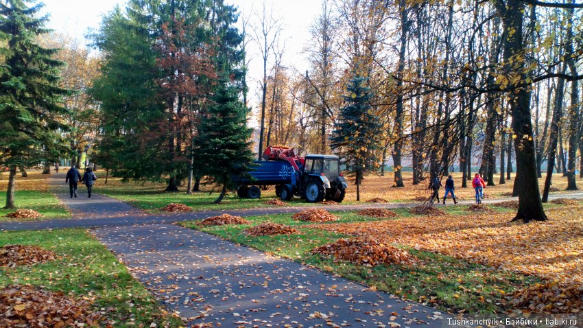 Элиза (Куколка Pullip (пуллип). Краски осени (фото 2)