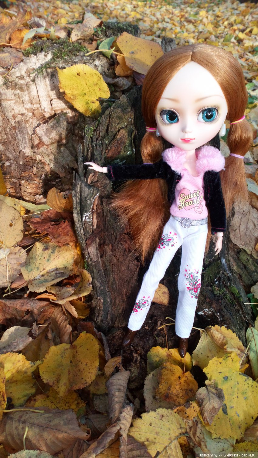 Элиза (Куколка Pullip (пуллип). Краски осени