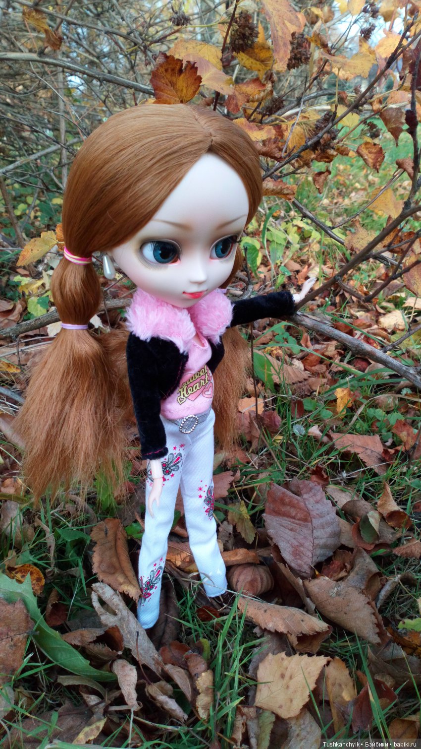 Элиза (Куколка Pullip (пуллип). Краски осени