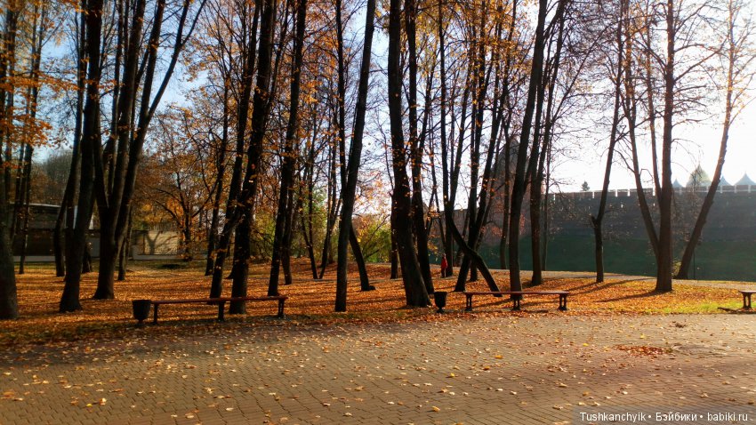 Элиза (Куколка Pullip (пуллип). Краски осени (фото 10)