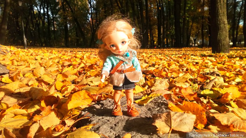 Каролинка. Жизнь без Марика. Осенний букет | Бэйбики Каролинка. Жизнь без Марика. Осенний букет (фото 5)