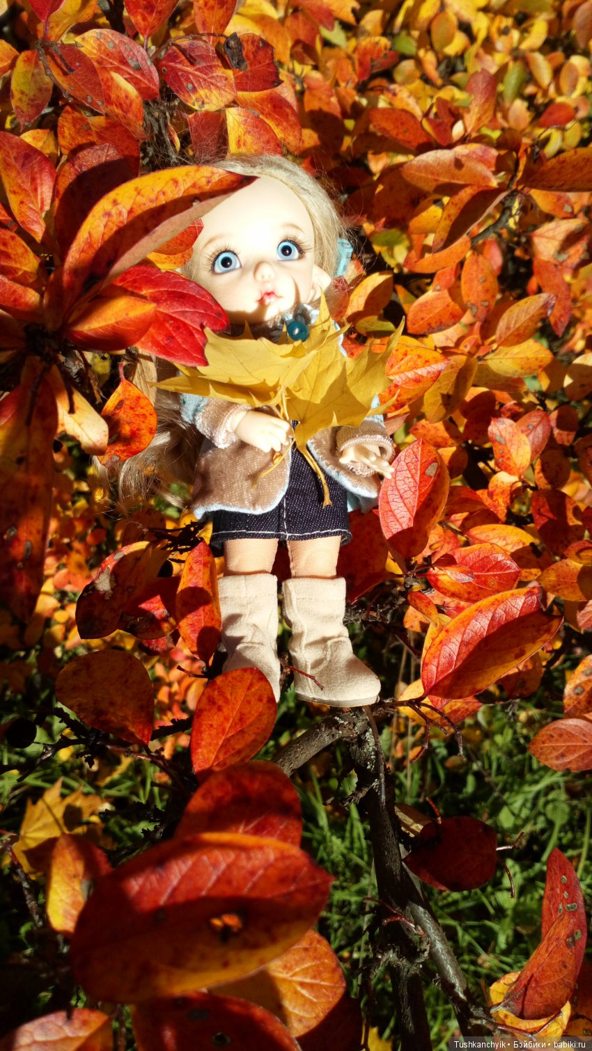 Каролинка. Жизнь без Марика. Осенний букет | Бэйбики Каролинка. Жизнь без Марика. Осенний букет