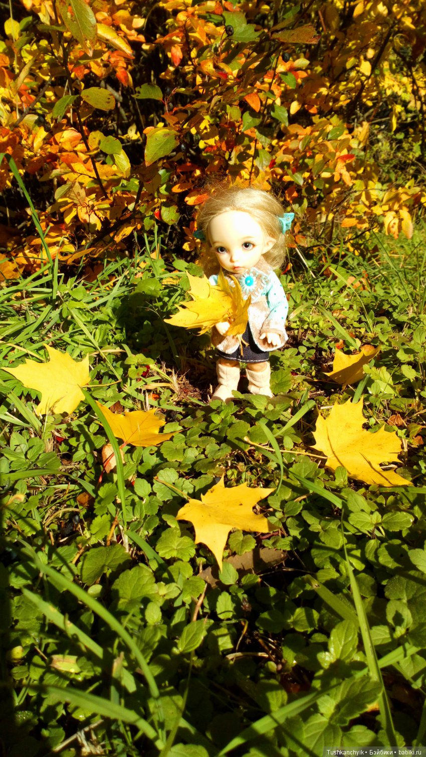 Каролинка. Жизнь без Марика. Осенний букет | Бэйбики Каролинка. Жизнь без Марика. Осенний букет