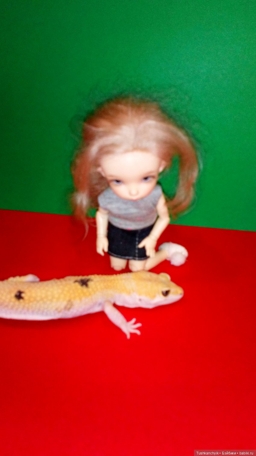 Каролинка. Жизнь без Марика. Развлекалочки