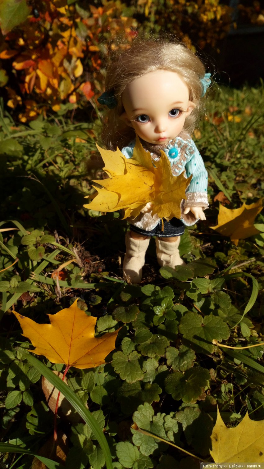 Каролинка. Жизнь без Марика. Осенний букет | Бэйбики Каролинка. Жизнь без Марика. Осенний букет
