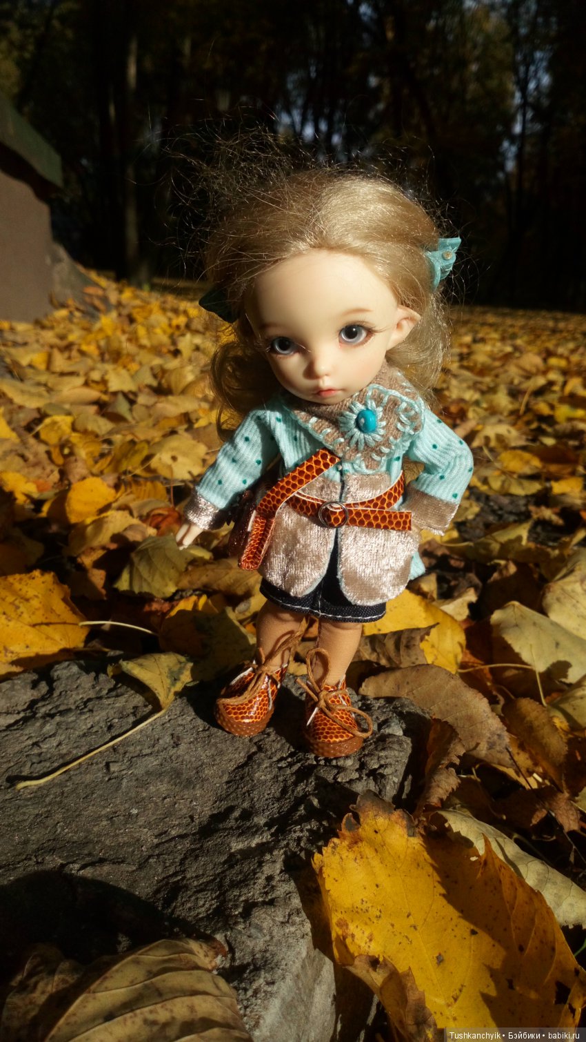 Каролинка. Жизнь без Марика. Осенний букет | Бэйбики Каролинка. Жизнь без Марика. Осенний букет (фото 6)