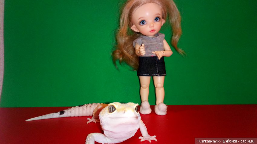 Каролинка. Жизнь без Марика. Развлекалочки