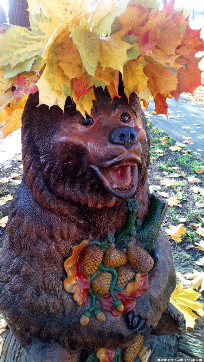 Каролинка. Жизнь без Марика. Осенний букет | Бэйбики Каролинка. Жизнь без Марика. Осенний букет