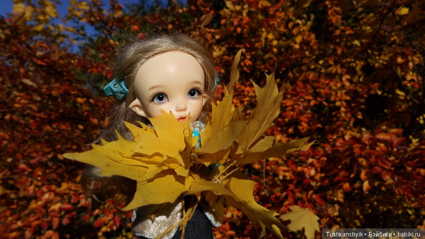 Каролинка. Жизнь без Марика. Осенний букет | Бэйбики Каролинка. Жизнь без Марика. Осенний букет