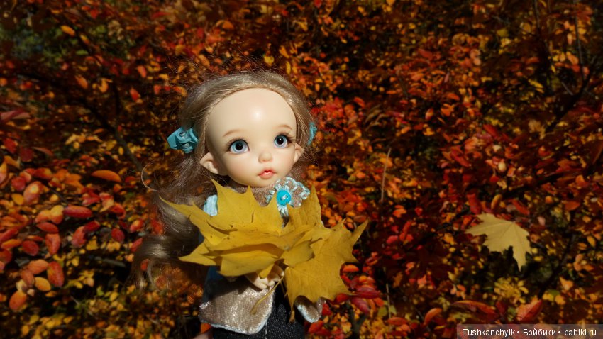 Каролинка. Жизнь без Марика. Осенний букет | Бэйбики Каролинка. Жизнь без Марика. Осенний букет