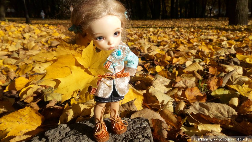 Каролинка. Жизнь без Марика. Осенний букет | Бэйбики Каролинка. Жизнь без Марика. Осенний букет (фото 7)