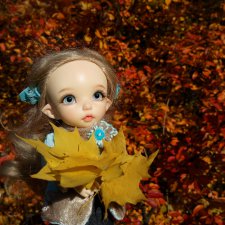 Каролинка. Жизнь без Марика. Осенний букет