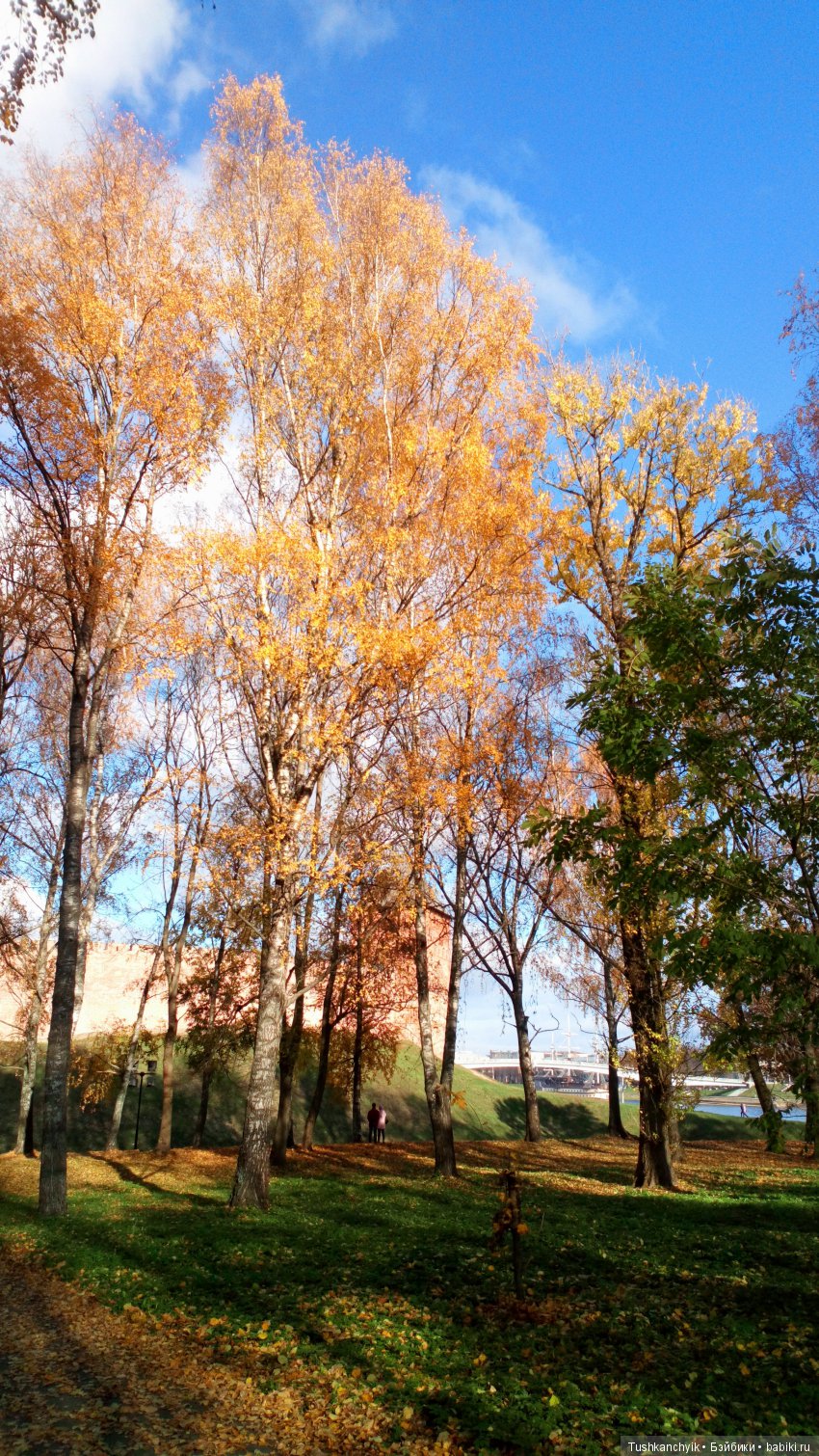 Каролинка и Марик. Ур-ра! Братик вернулся (фото 8)