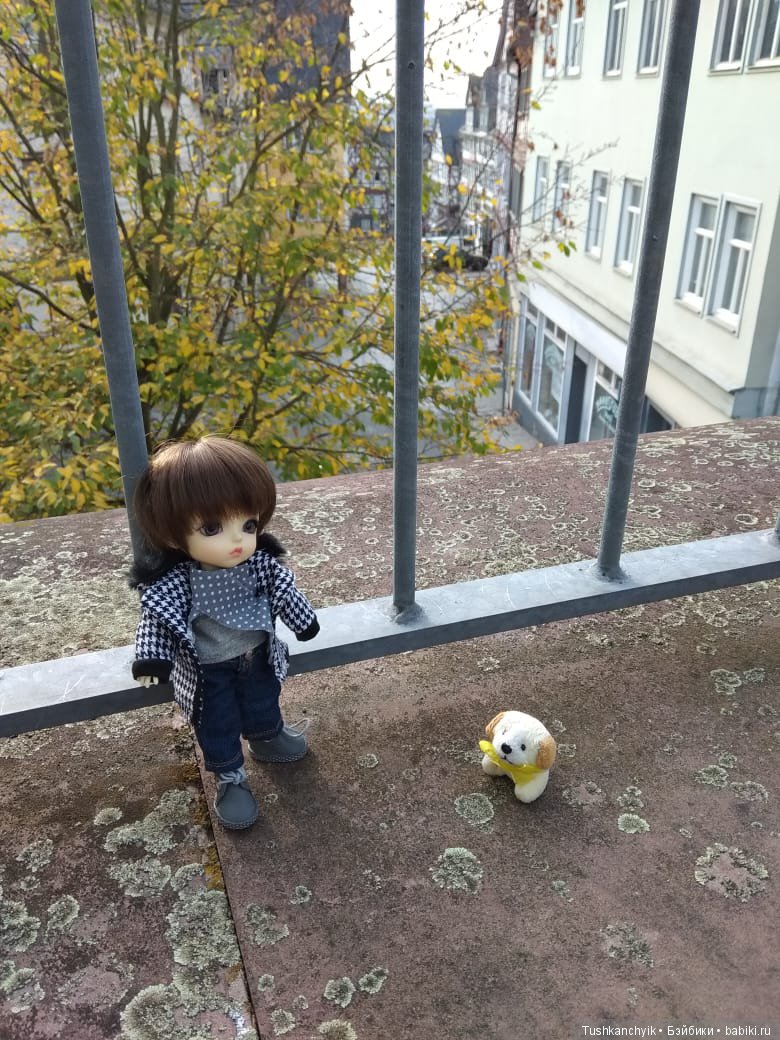 Каролинка и Марик. Путешествие Марика в г.Wetzlar, Германия