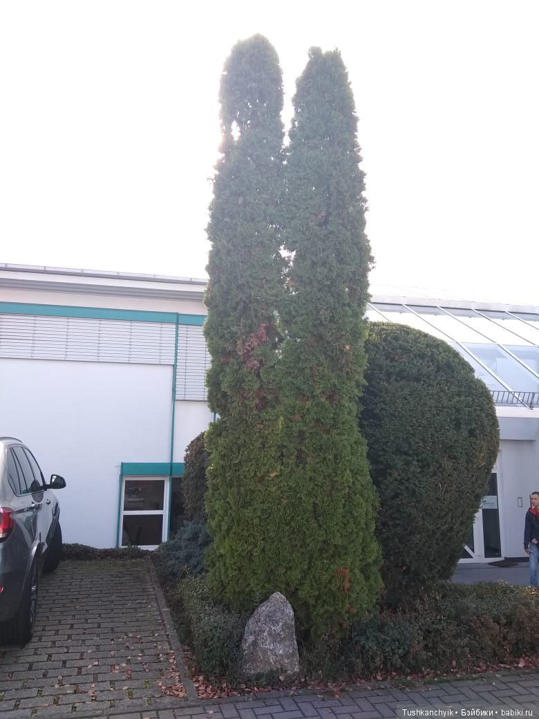 Каролинка и Марик. Путешествие Марика