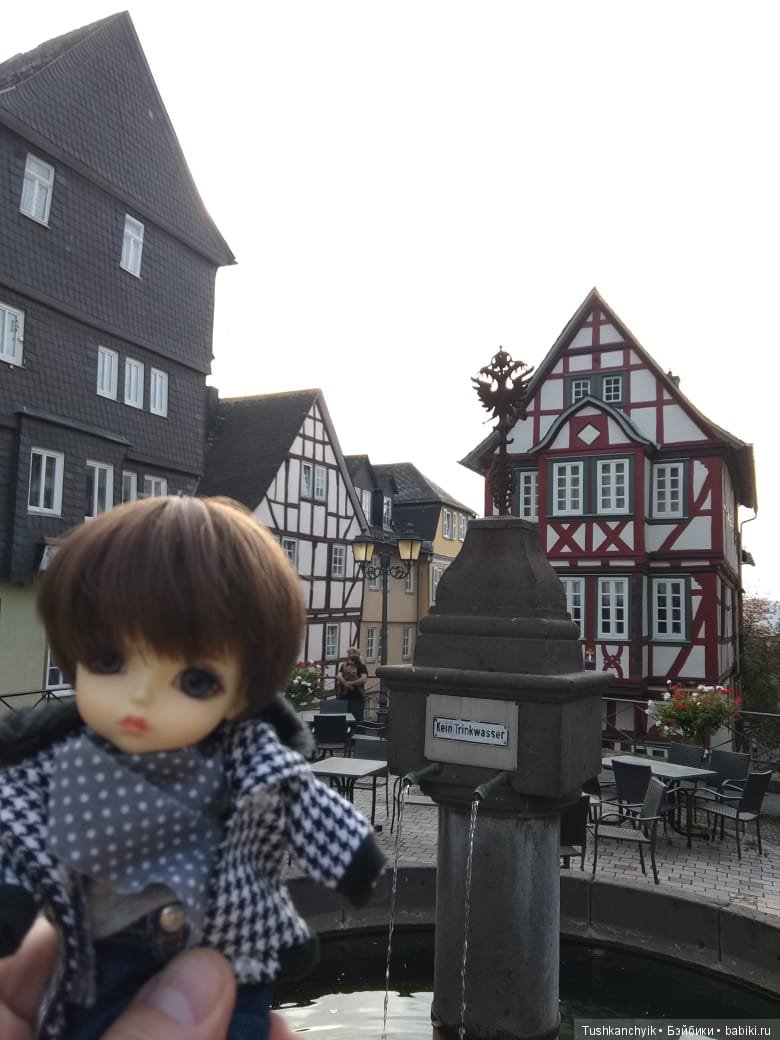 Каролинка и Марик. Путешествие Марика в г.Wetzlar, Германия (фото 6)