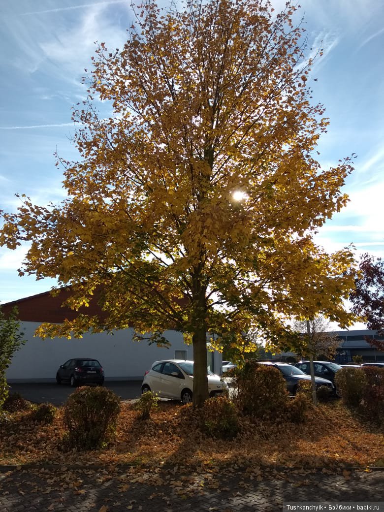 Каролинка и Марик. Путешествие Марика