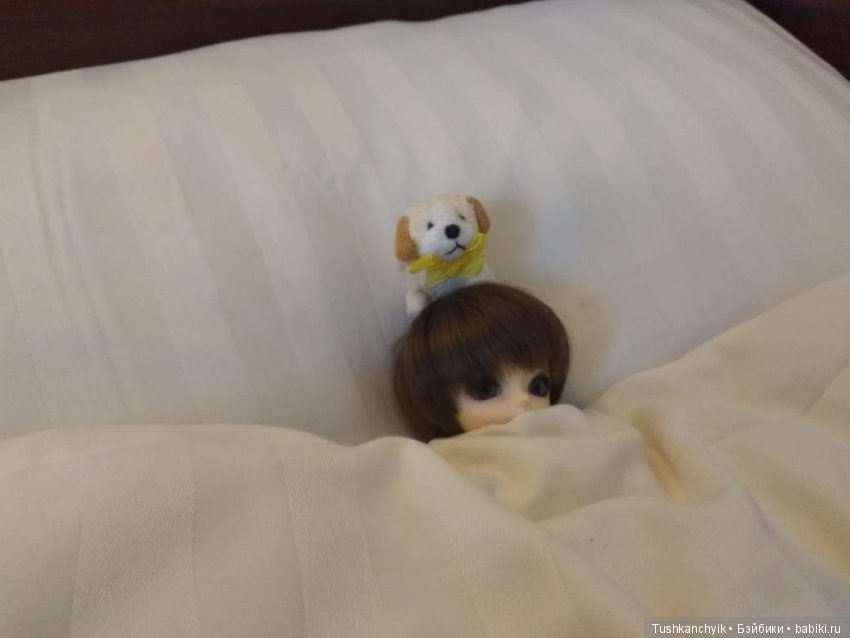 Каролинка и Марик. Путешествие Марика (фото 7)