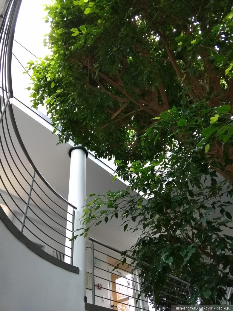 Каролинка и Марик. Путешествие Марика (фото 5)