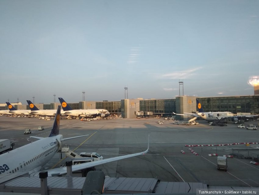 Каролинка и Марик. Путешествие Марика