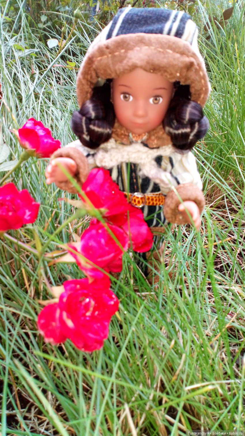 Кая. Мини-американочка — American Girl Mini: Куклы 16 см (фото 4)