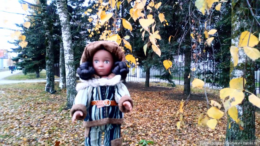 Кая. Мини-американочка — American Girl Mini: Куклы 16 см (фото 2)