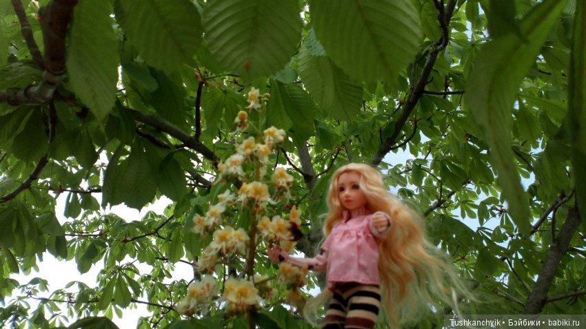 Настя в Нижнем Новгороде — Куклы и тела Obitsu (Обитсу): 1/6