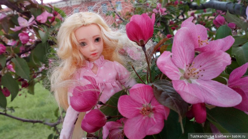 Настя в Нижнем Новгороде — Куклы и тела Obitsu (Обитсу): 1/6