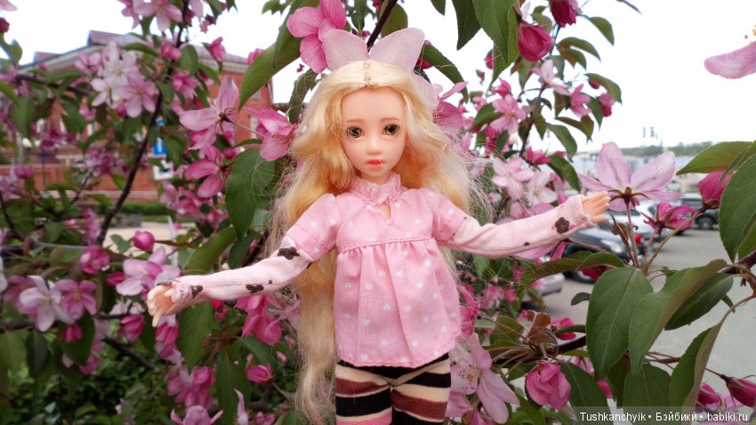 Настя в Нижнем Новгороде — Куклы и тела Obitsu (Обитсу): 1/6